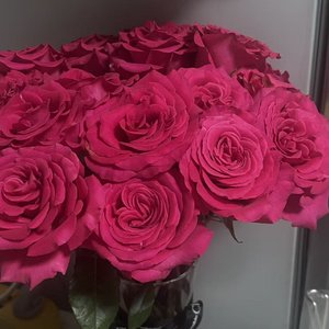 唯独你是不可取替