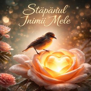 stăpânul inimii mele