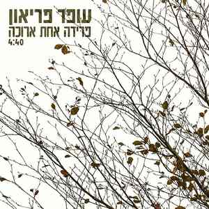 פרידה אחת ארוכה