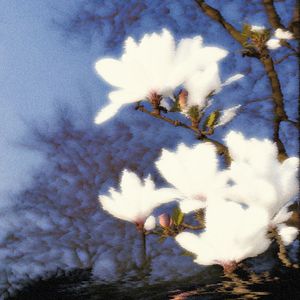 “玉兰” 人大Triple R 2025 Cypher