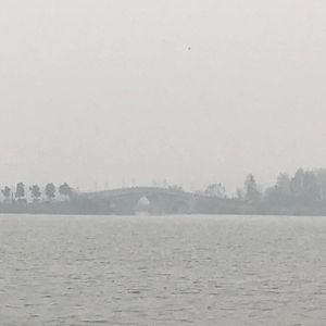 飞电青龙