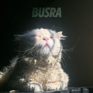 Büşra