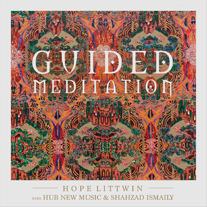 Guided Meditation (feat. Shahzad Ismaily & Hub New Music)