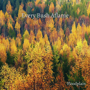 Every Bush Aflame