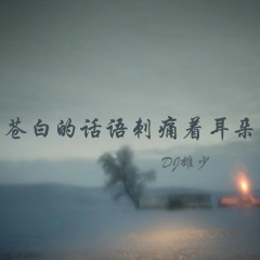 达摩进行曲V8