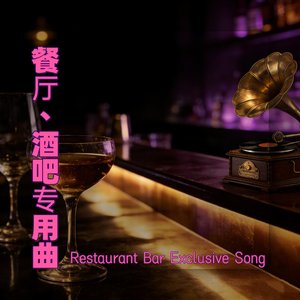 餐厅酒吧专用曲4