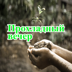 Капельный рассвет