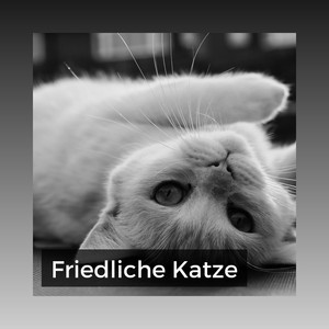 Ruhende Katzen