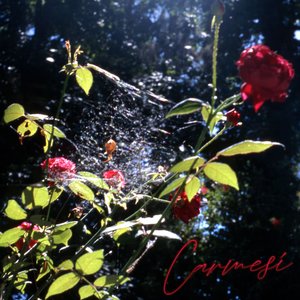 Carmesí