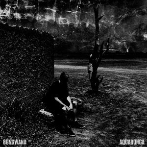 Aquabonga