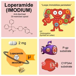 Loperamide (Swing Version)