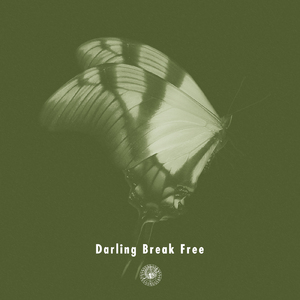 Darling Break Free (feat. Michael Kaneko)
