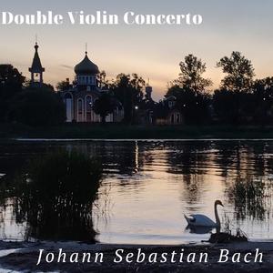 Double Violin Concerto in D minor: III. Allegro (feat. Anna Salnit & Roksana Tarvide) (Live in Rīgas Pāvila baznīca)