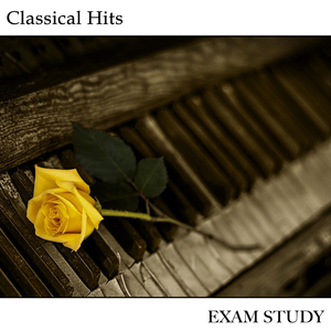 Clementi's Sonata in G Minor Didone Abbandonata Op 50 III Allegro Agitato e Con Disperazione