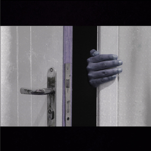 A Vida Que Nós Temos