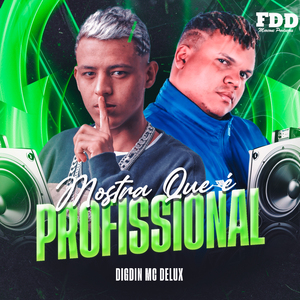 Mostra Que É Profissional