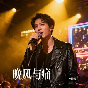 晚风与痛