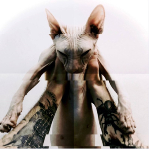 Над обломками