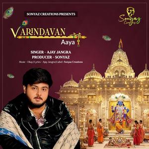 VARINDAVAN AAYA MIX