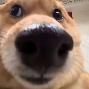 三次方