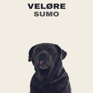 SUMO
