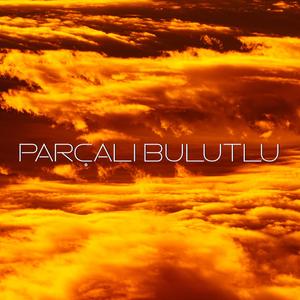 Sen Nerdesin Ben Nerdeyim (feat. Tolga Burak)