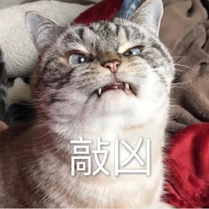 已售断，禁止任何形式使用