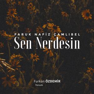 Faruk Nafiz Çamlıbel - Sen Nerdesin