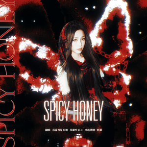 Spicy Honey中文版