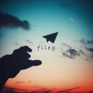 Flieg