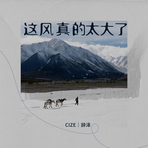 这风真的太大了