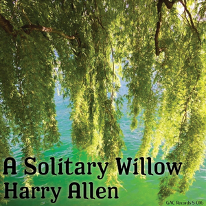 A Solitary Willow