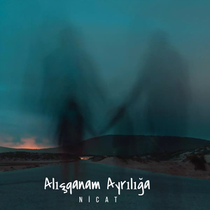 Alışqanam Ayrılığa