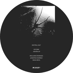 Araña (original mix)