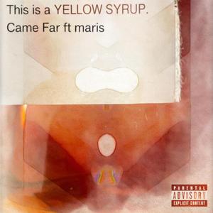 Came far (feat. marisvgtr)