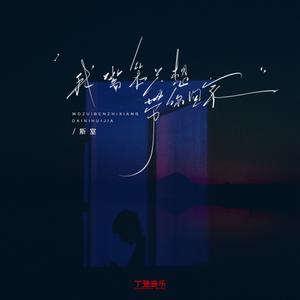 我嘴笨只想带你回家（DJ版）