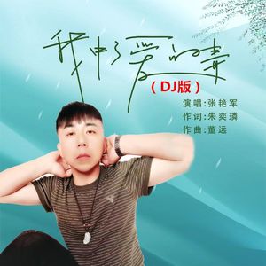 我中了爱的毒（DJ版）