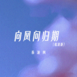 向风问归期 (摇滚版)