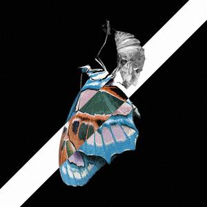 有梦无罪（Prod by Vikingar）