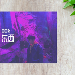 白白张 - 东西（温柔男声版）