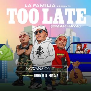 Too Late (Emakhaya) (feat. Phakza & Timmy Otukoya)