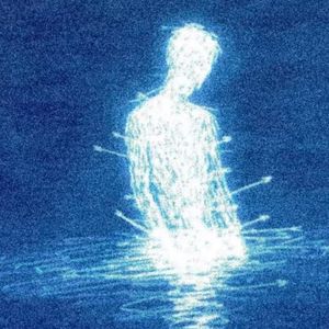 青石巷里数着槐花香