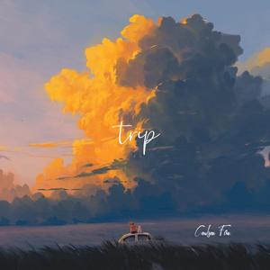 Trip