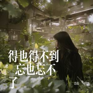 得也得不到 忘也忘不了