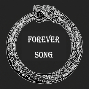 Forever song (feat. Ruggero Gallo & Niky Corrado)