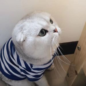 量子纠缠的温柔