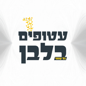 עטופים בלבן