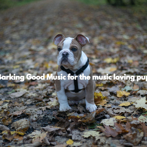 Chilled (Puppy Rest)