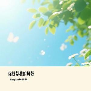 你就是我的风景 (Cover 何洁)