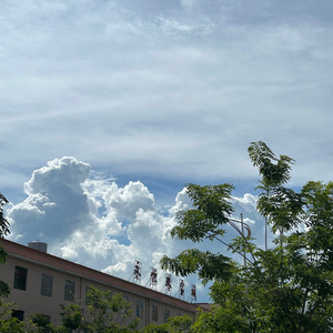 郑智化-水手（王老师虚胖 remix）